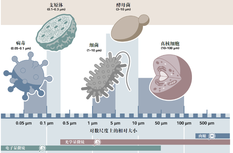 图片1 图片1
