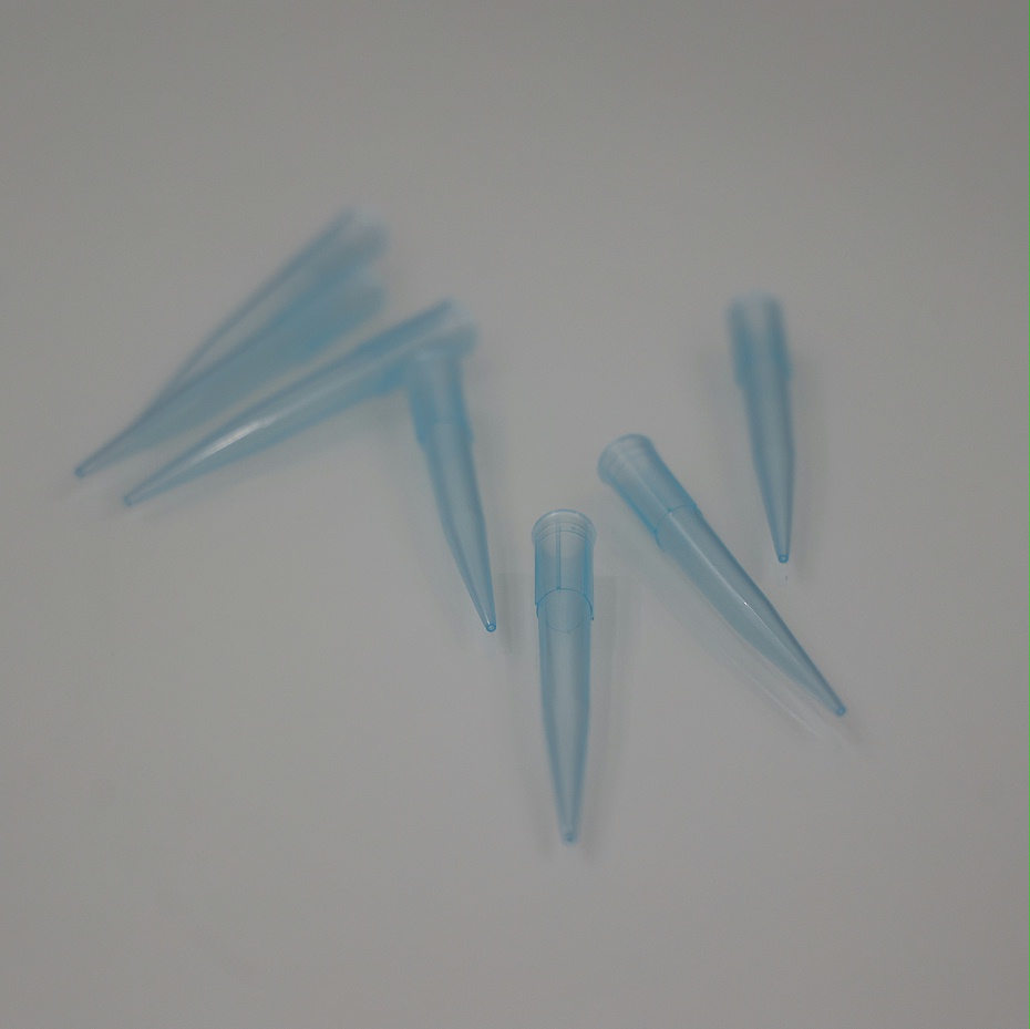 3A9A4898 3A9A4898